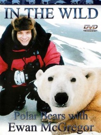 与伊万极地探险