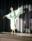 黑蜻蜓