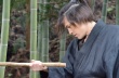 赦免花