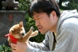 豆柴小犬