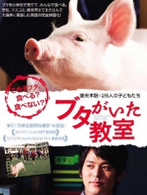 小猪教室