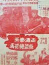 南海拳王夜盗梅花马