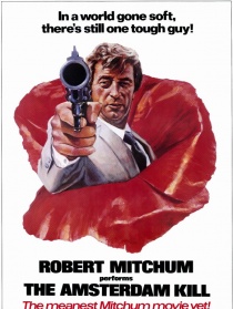 阿姆斯特丹杀机