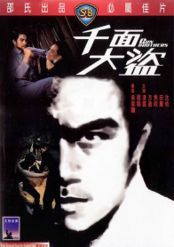 千面大盗
