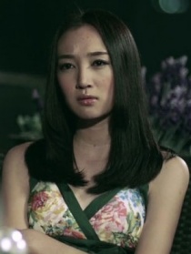 穿Prada的树
