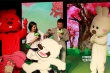 手繪動(dòng)畫(huà)《我是狼》定檔 曲婉婷獻(xiàn)唱導(dǎo)演落淚