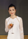 李冰冰助阵《变4》中国之夜 英文娴熟逗笑导演