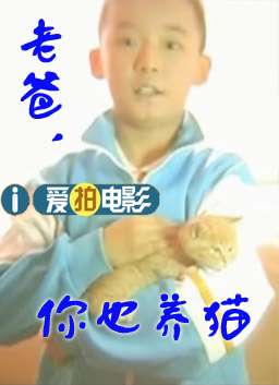 老爸你也养猫