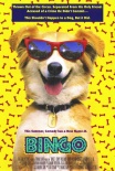 灵犬宾果
