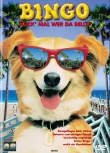 灵犬宾果