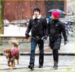 阿曼達(dá)·塞弗里德與男友出街 雪天遛狗恩愛(ài)十足