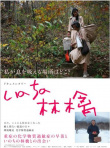 命运的苹果