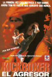 搏击之王4：侵略者