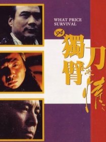 94独臂刀之情