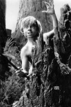 好莱坞黄金时代男星辞世:米基·鲁尼经典角色回顾