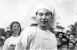 绿海天涯