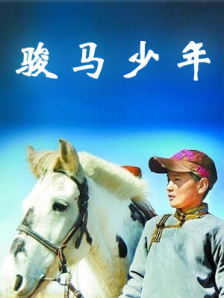 骏马少年