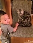 姚晨晒合影力证儿子像自己：大嘴笑容弧度一样