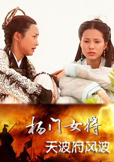 杨门女将天波府风波