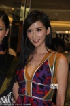 林志玲深V艷裙露事業(yè)線 專心等愛稱40歲單身怕了