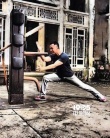 甄子丹对抗电脑特技 《卧虎藏龙2》主打东方功夫