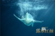 《露水红颜》曝“兽性”海报 刘亦菲与Rain痴缠