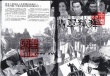 翡翠狐貍
