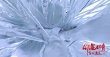 《钟馗伏魔》发布制作特辑 李冰冰雪妖造型美艳