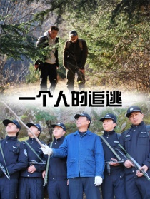 一个人的追逃