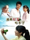 楊梅紅了的季節(jié)