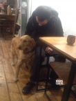 文章赴大理小客棧散心 抽煙逗狗與友人飲酒暢談