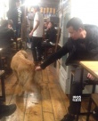 文章赴大理小客棧散心 抽煙逗狗與友人飲酒暢談