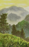 虫师 铃之雫