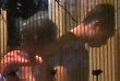 曝魏晨与大学同学谈地下恋 同游韩国甜蜜同居