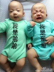 范玮琪双胞胎儿子变表情帝 穿兄弟装萌翻网友