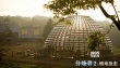 《分歧者2》曝片場(chǎng)照 獅門大投資再造系列經(jīng)典
