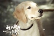 《我的男友和狗》曝主題曲MV 何潤(rùn)東張鈞甯主演
