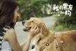 《我的男友和狗》曝主題曲MV 何潤(rùn)東張鈞甯主演