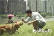 《我的男友和狗》口碑爆表 范冰冰何炅呼吁排片