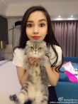 Angelababy抱猫咪卖萌 眼睛超大遭吐槽：修过了