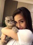Angelababy抱猫咪卖萌 眼睛超大遭吐槽：修过了