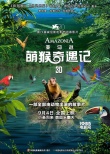 《亞馬遜萌猴奇遇記》定檔9.4 齊發(fā)先導(dǎo)海報(bào)預(yù)告