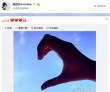 娱评：最新追女速成手册 看陈晓如何追上陈妍希