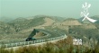 赵涛董子健时空对望 《山河故人》未来世界剧照