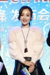 导演魏楠证实章子怡怀孕 郭敬明称陈学冬难控制