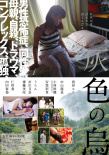 灰色乌鸦