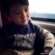 叶一茜晒儿子坐高铁近照 网友：长相似混血儿