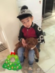 杨云晒杨阳洋萌照 “戴”圣诞帽抱小狗嘟嘴搞怪