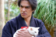猫侍 前往南之岛