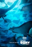 《海底总动员2》曝光新海报 多莉玩起捉迷藏